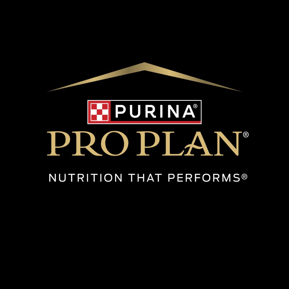 Pro Plan Dog Food