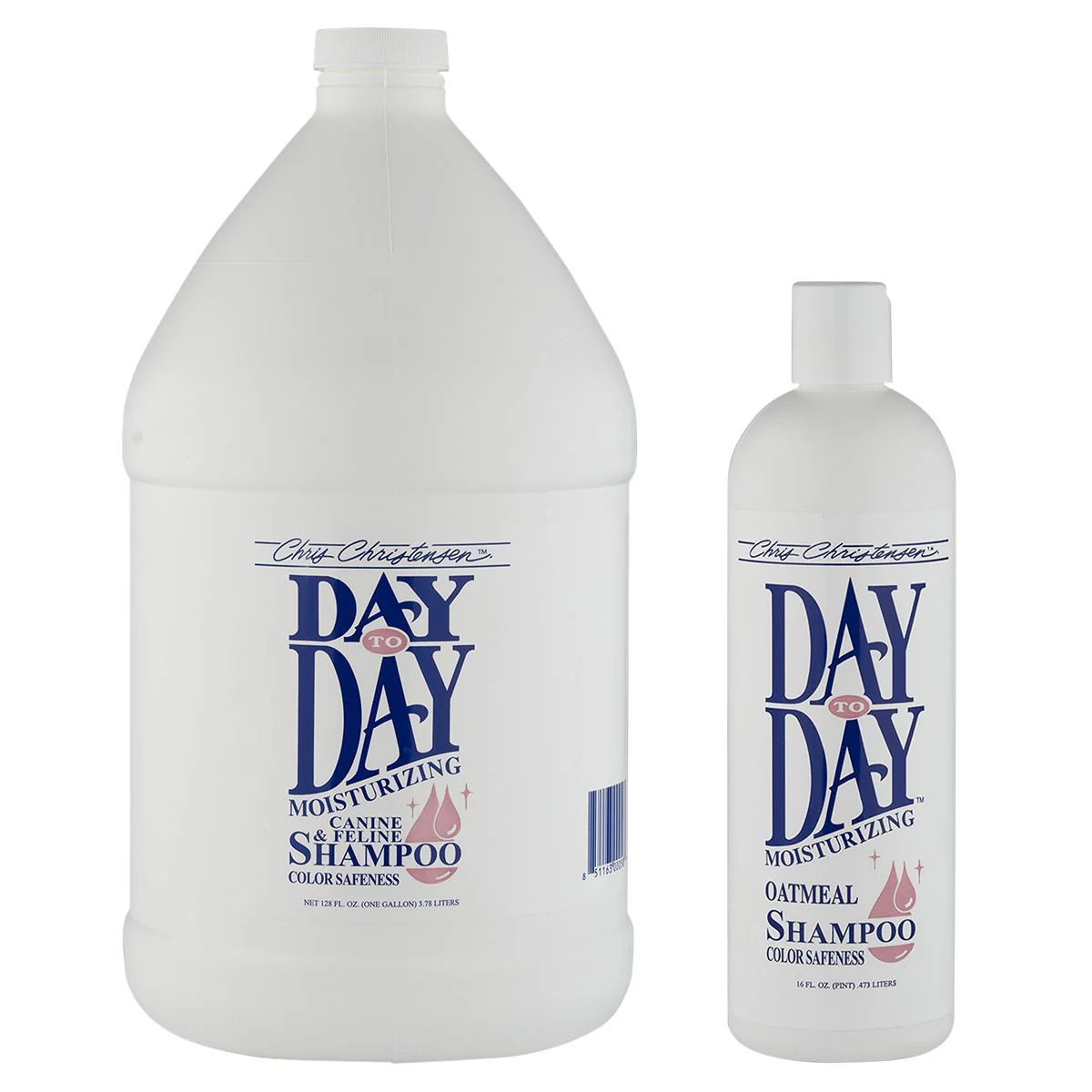 Day to Day Shampoo