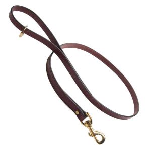 Leather Snap Leash