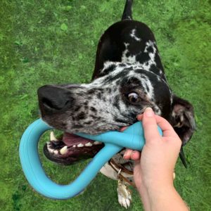 Tuug Toy