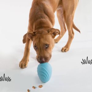 Eggi Treat Toy