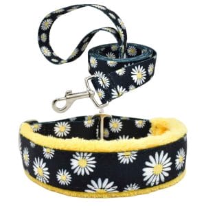 Buttercup Daisies Collar and Lead Set