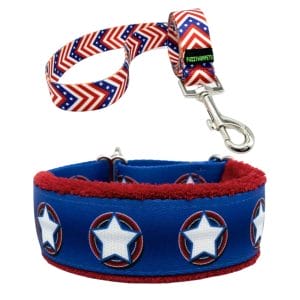 Superhero Collar and Lead Set