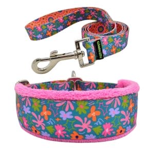 Whimsy Collar and Lead Set
