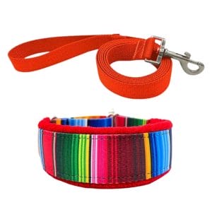 Stripe Collar and Lead Set