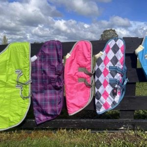 Winter Dog Coats
