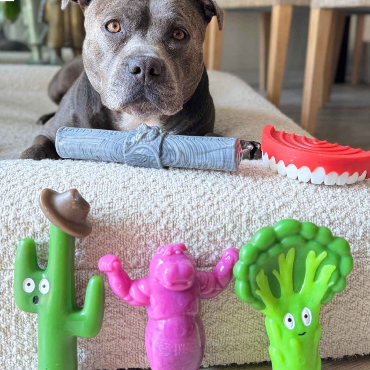 Broccoli Crunch - Extreme Chewer Toy - Image 2