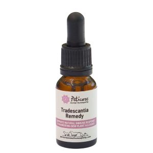 Tradescantia Remedy