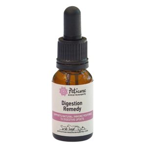 Digestion Remedy